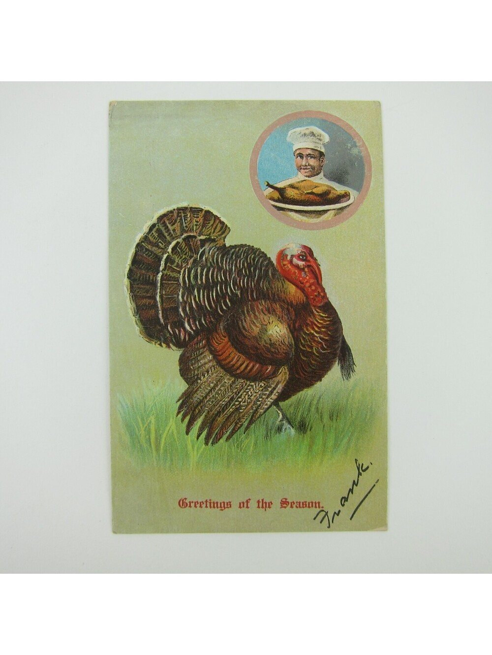 Thanksgiving Postcard Wild Turkey in Grass & Chef Cooked Turkey Embossed Antique